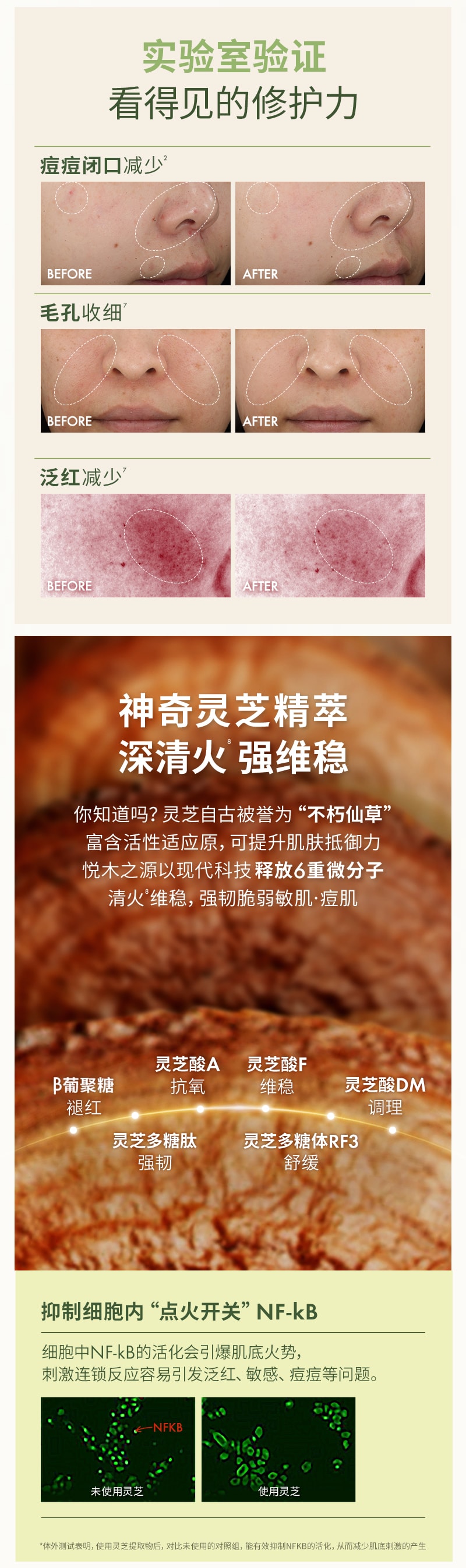 全新升级灵芝水