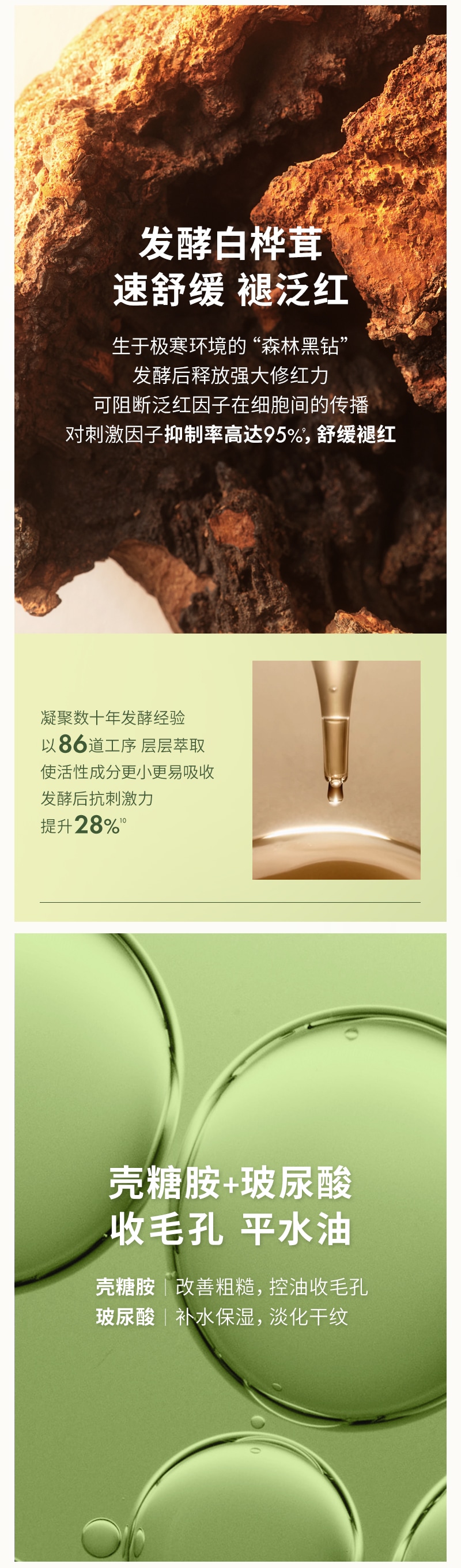 全新升级灵芝水