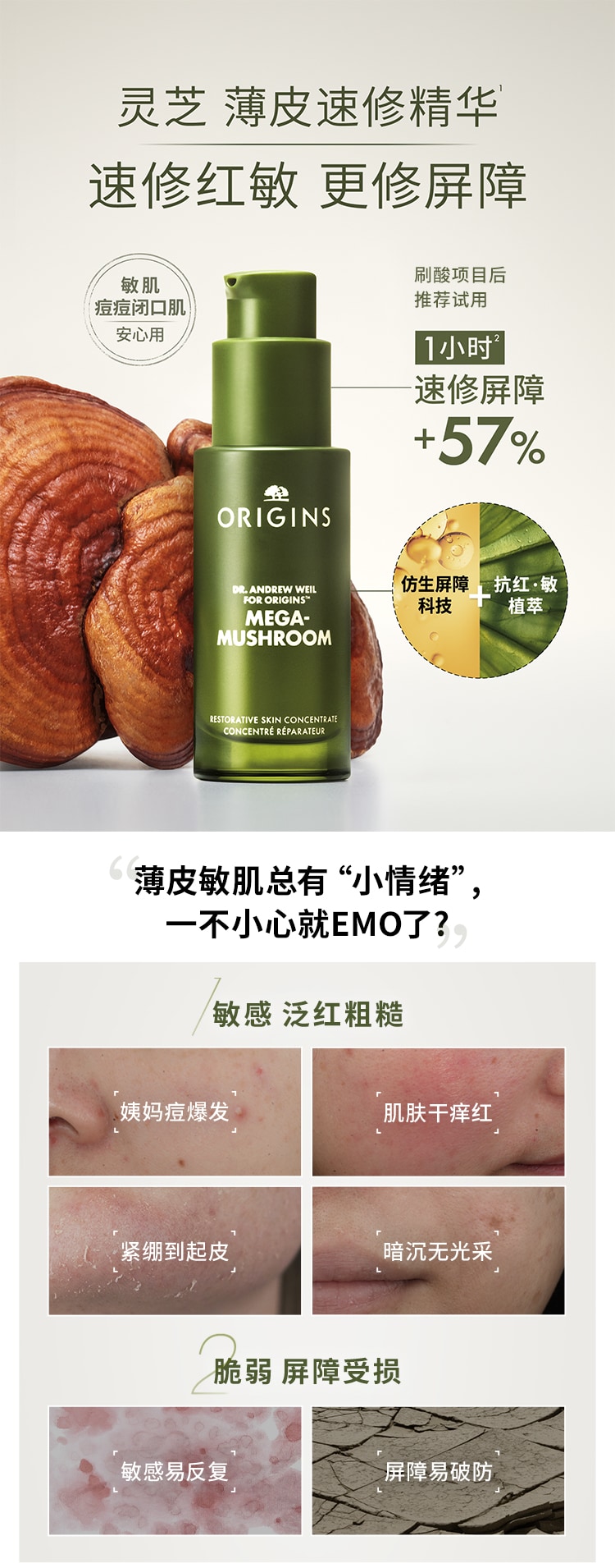 灵芝速修精华