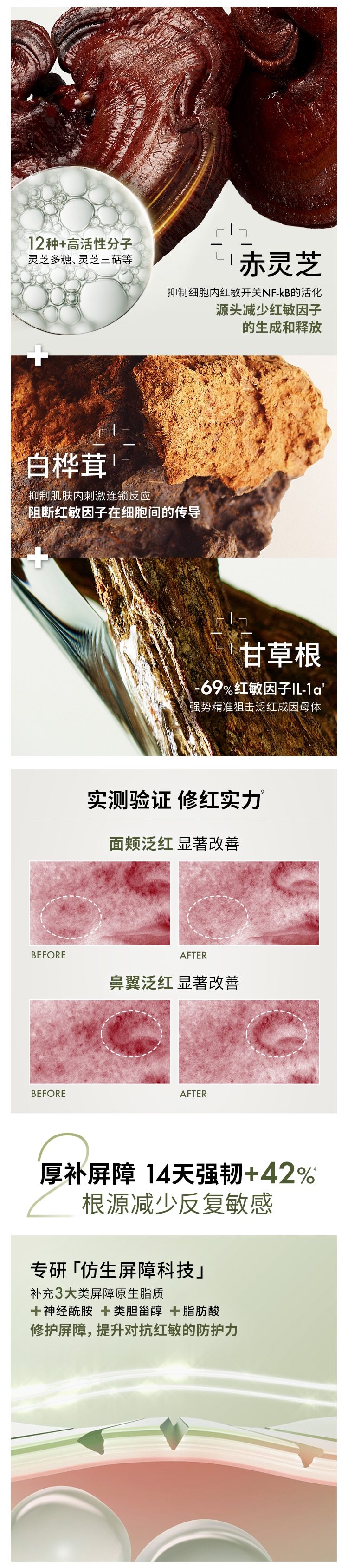 灵芝速修精华